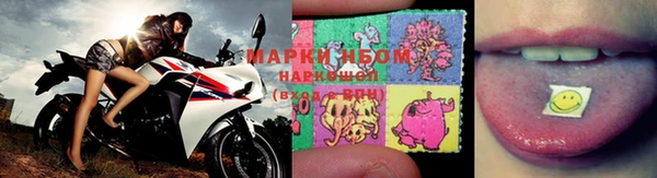 стаф Нягань